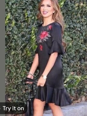 Zara Black Frills Dress with Embroidered Flowers Size Small